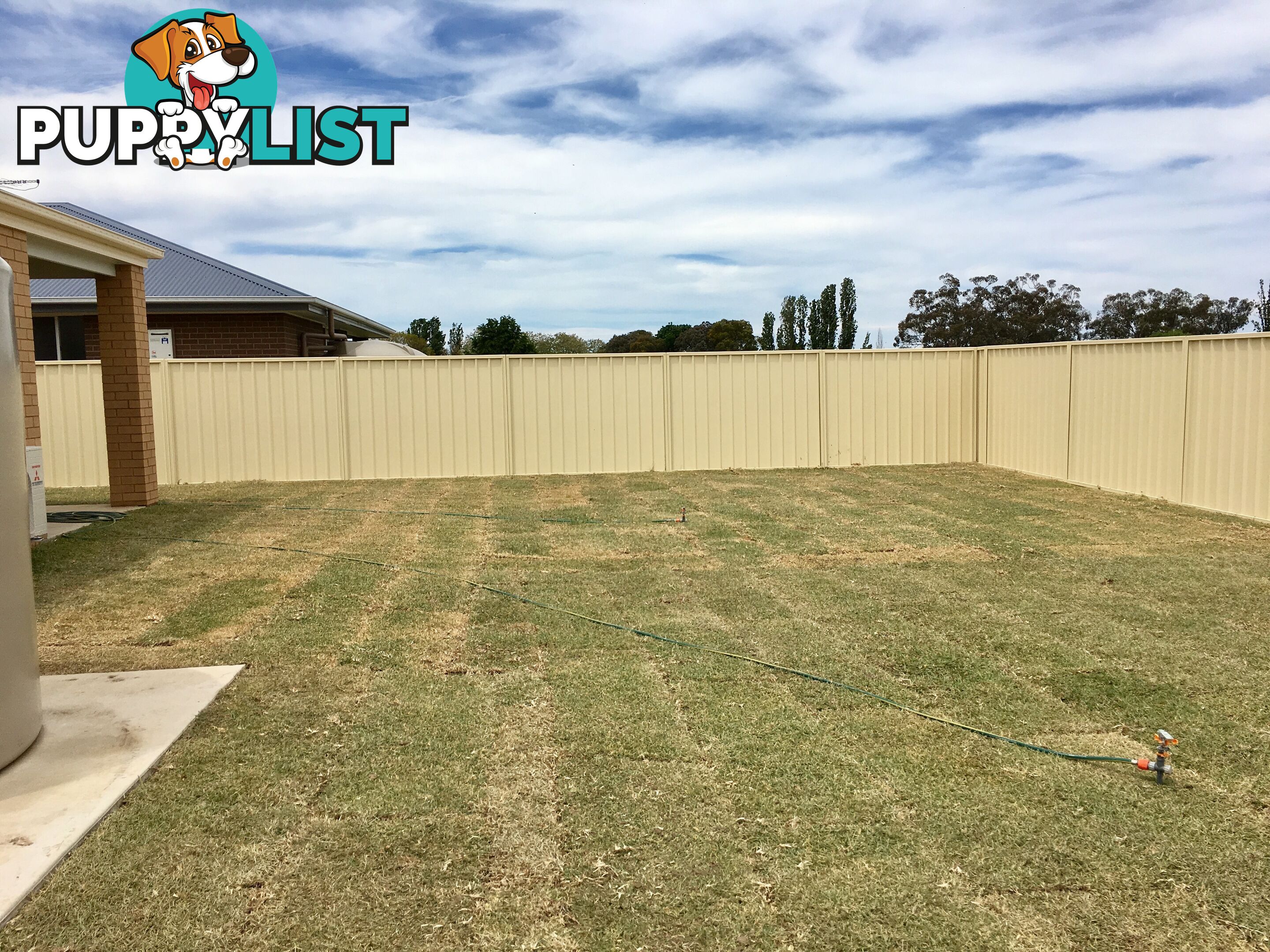 37 Royce Crescent LAVINGTON NSW 2641