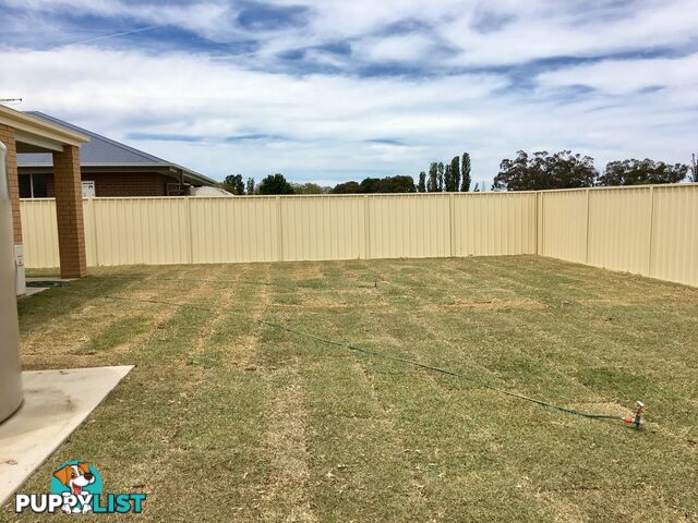 37 Royce Crescent LAVINGTON NSW 2641