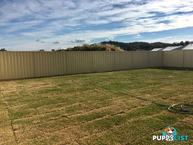 37 Royce Crescent LAVINGTON NSW 2641