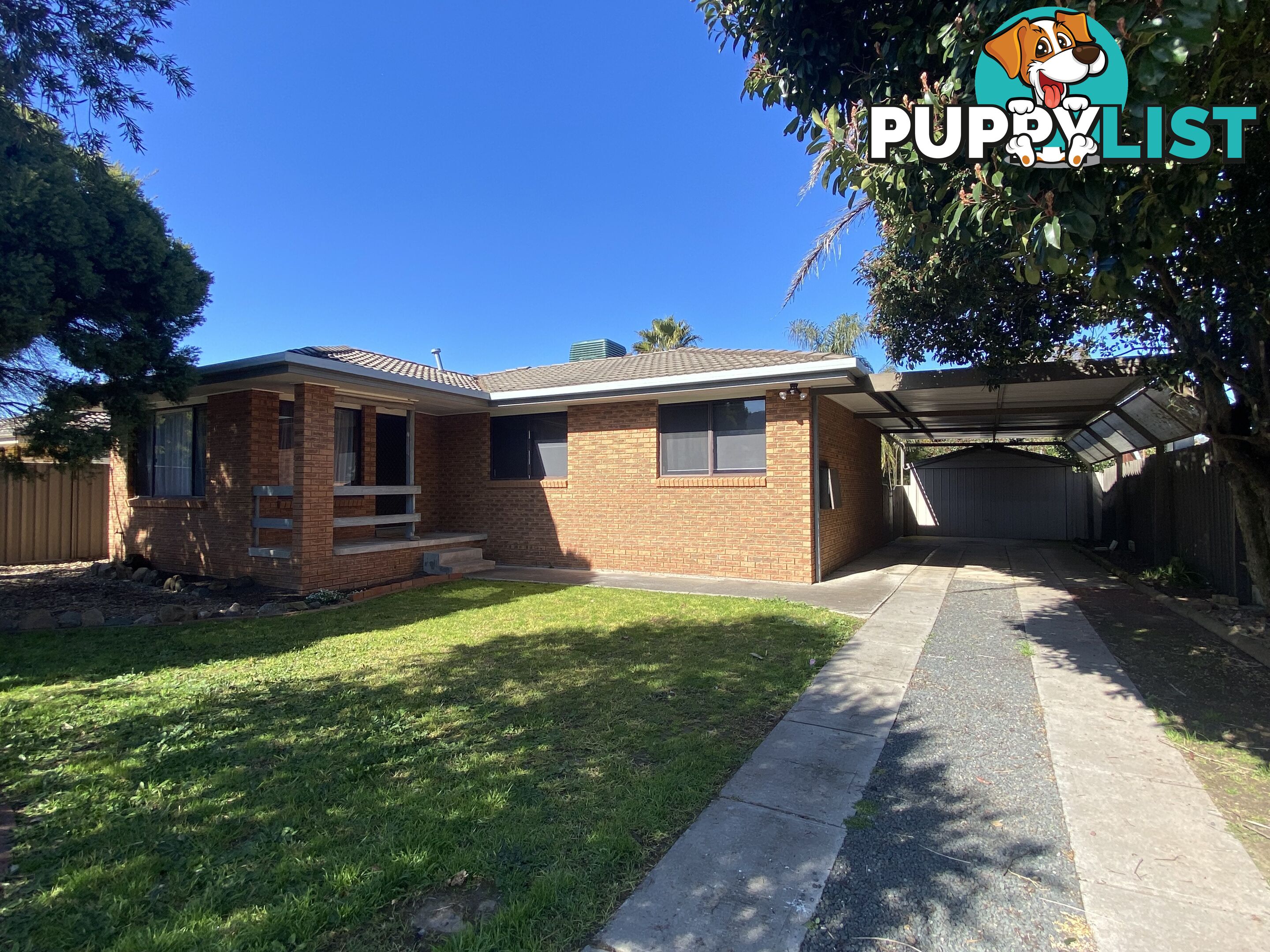 34 McMaster Avenue LAVINGTON NSW 2641