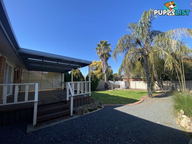 34 McMaster Avenue LAVINGTON NSW 2641