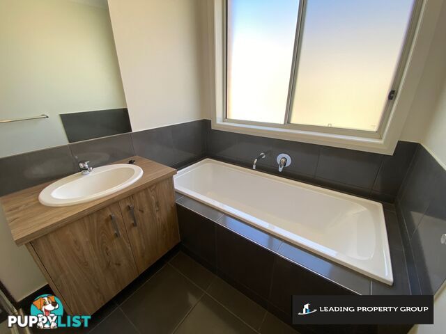 49 Rogers Avenue WODONGA VIC 3690