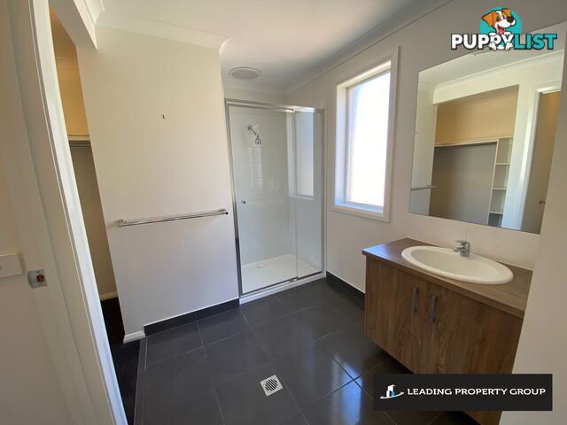 49 Rogers Avenue WODONGA VIC 3690