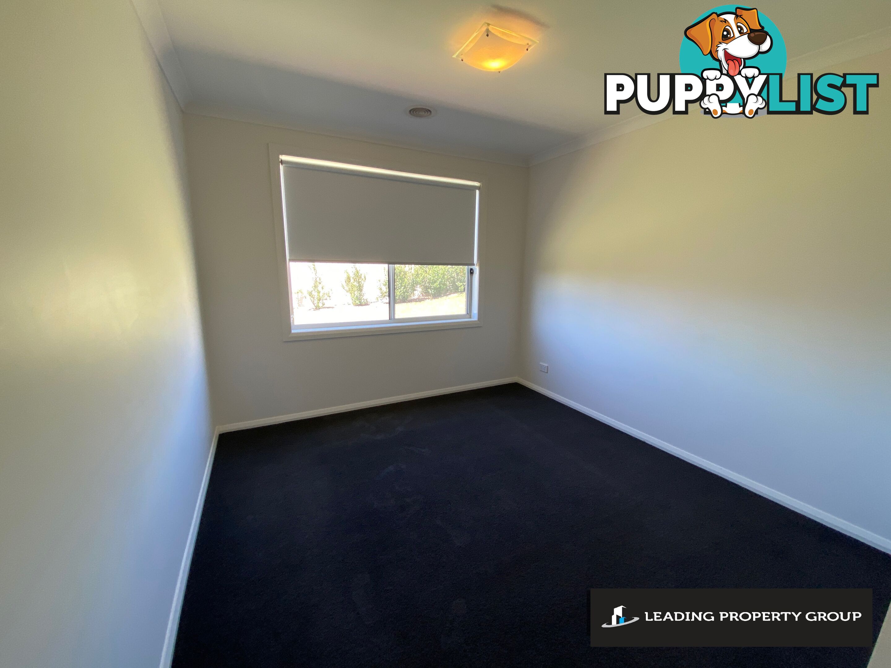 49 Rogers Avenue WODONGA VIC 3690