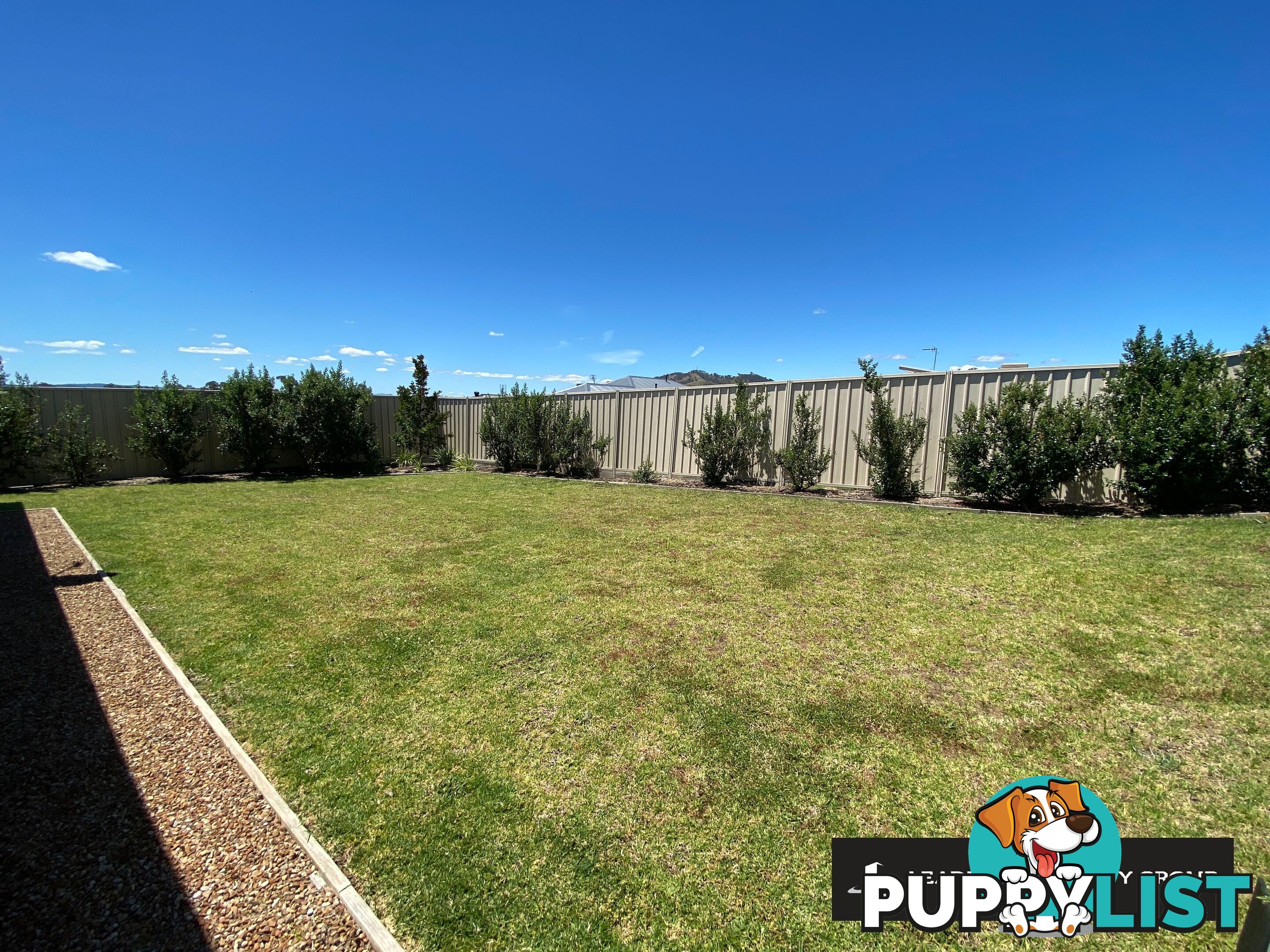 49 Rogers Avenue WODONGA VIC 3690