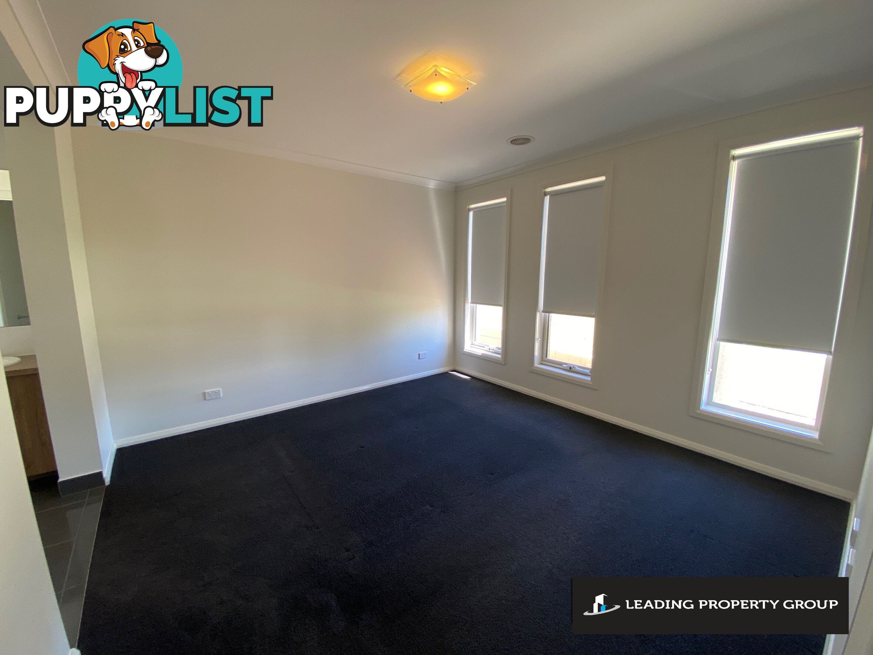 49 Rogers Avenue WODONGA VIC 3690