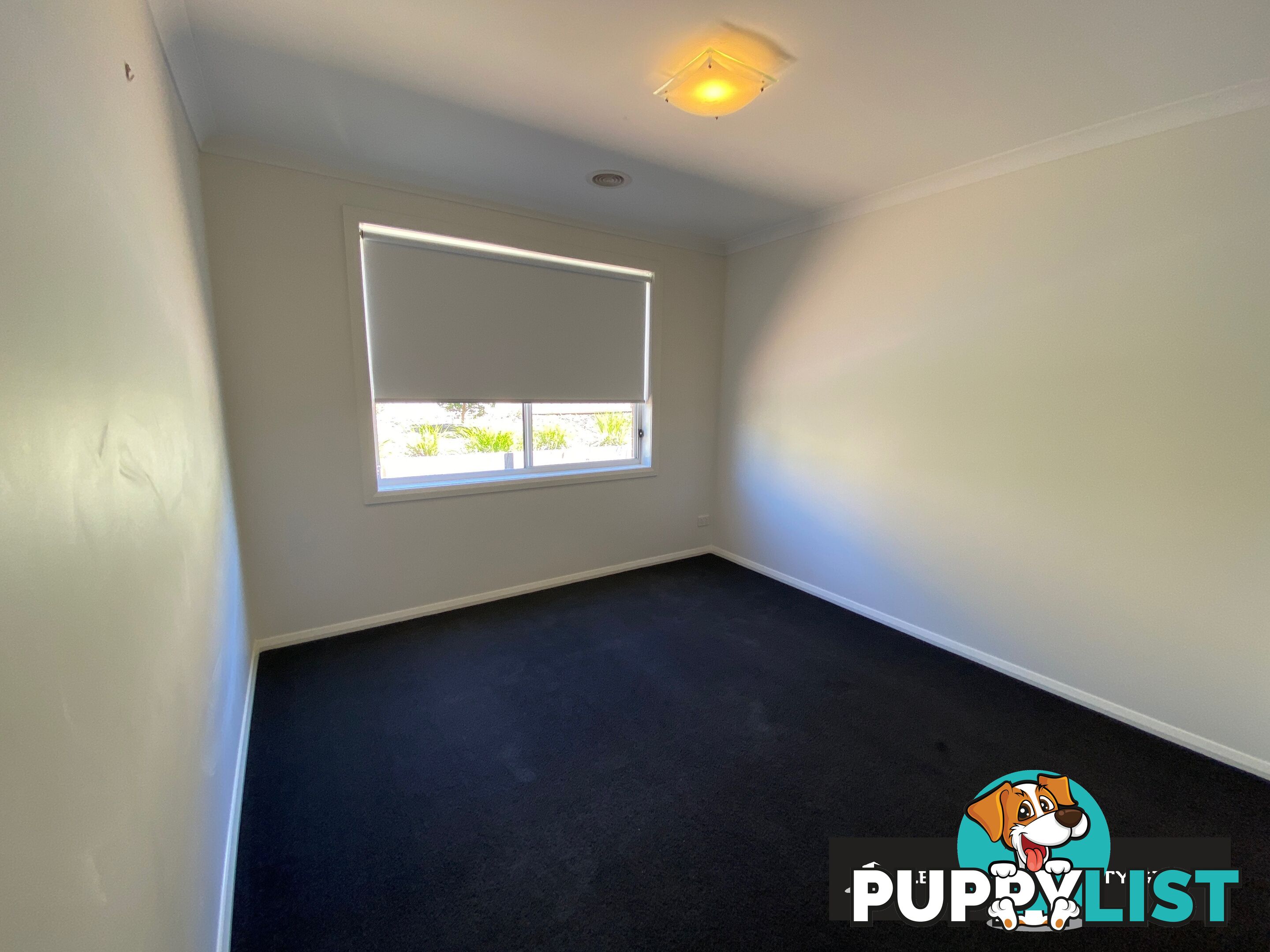 49 Rogers Avenue WODONGA VIC 3690