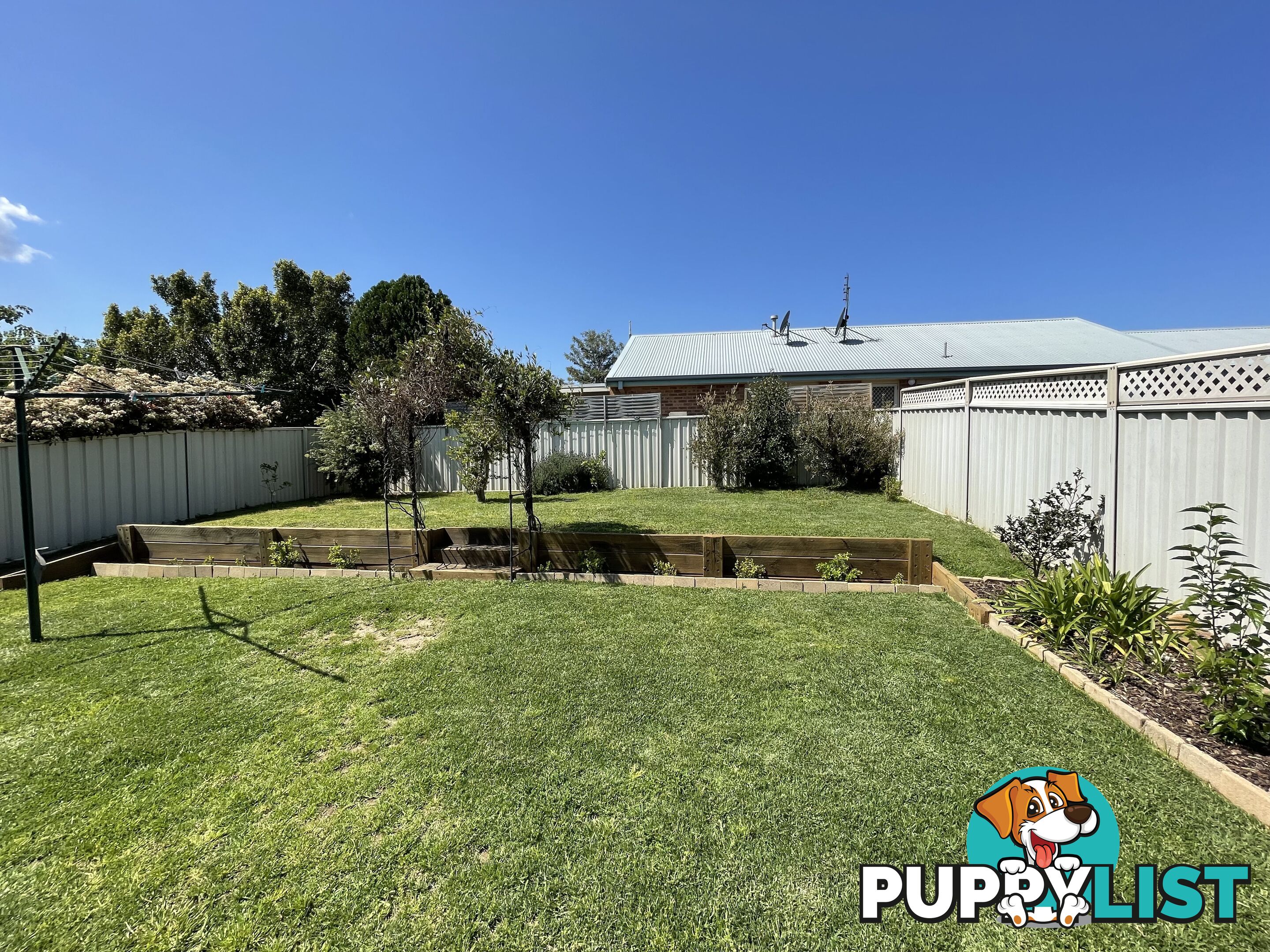 6 Pickering Place WODONGA VIC 3690