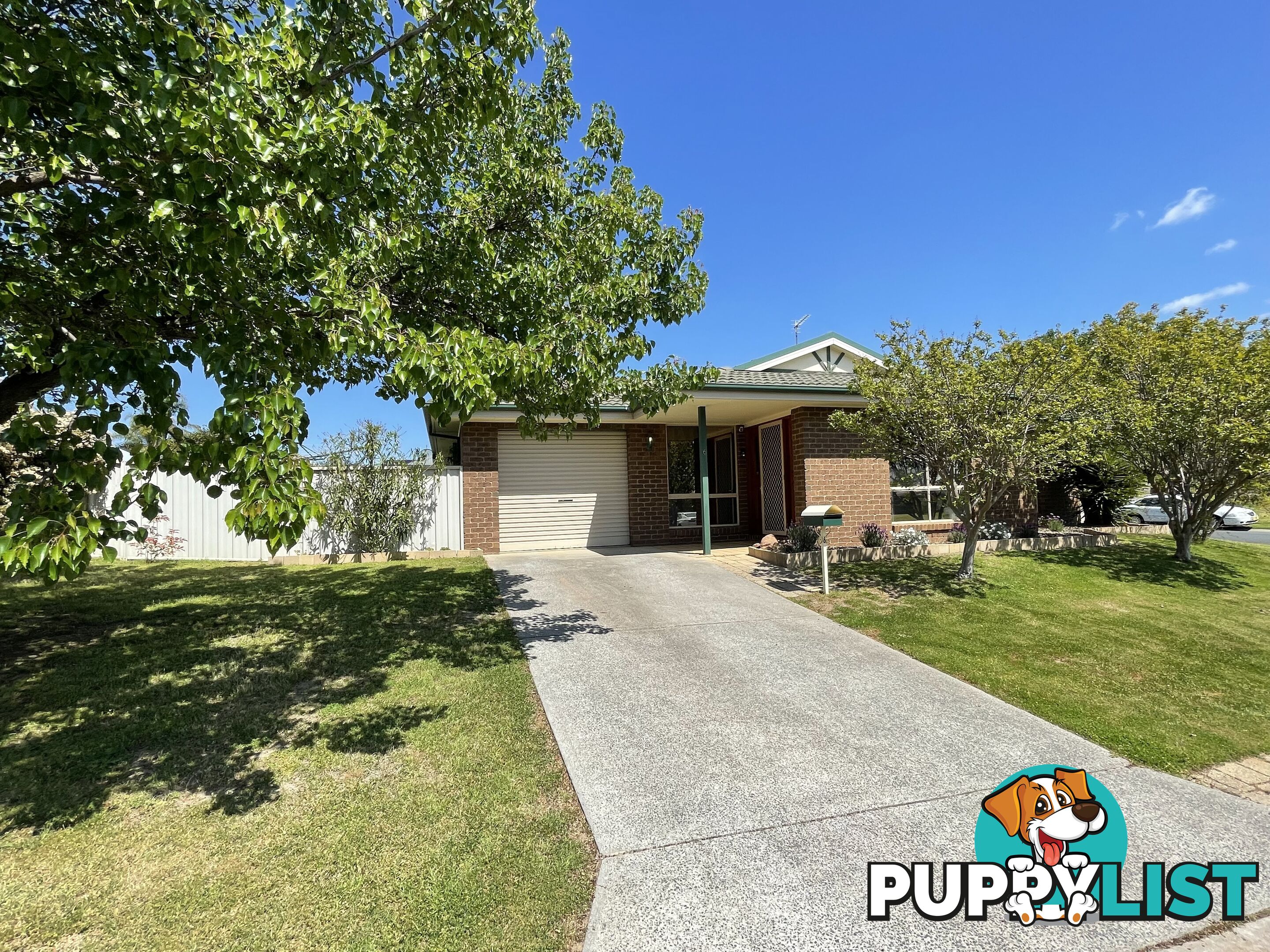 6 Pickering Place WODONGA VIC 3690