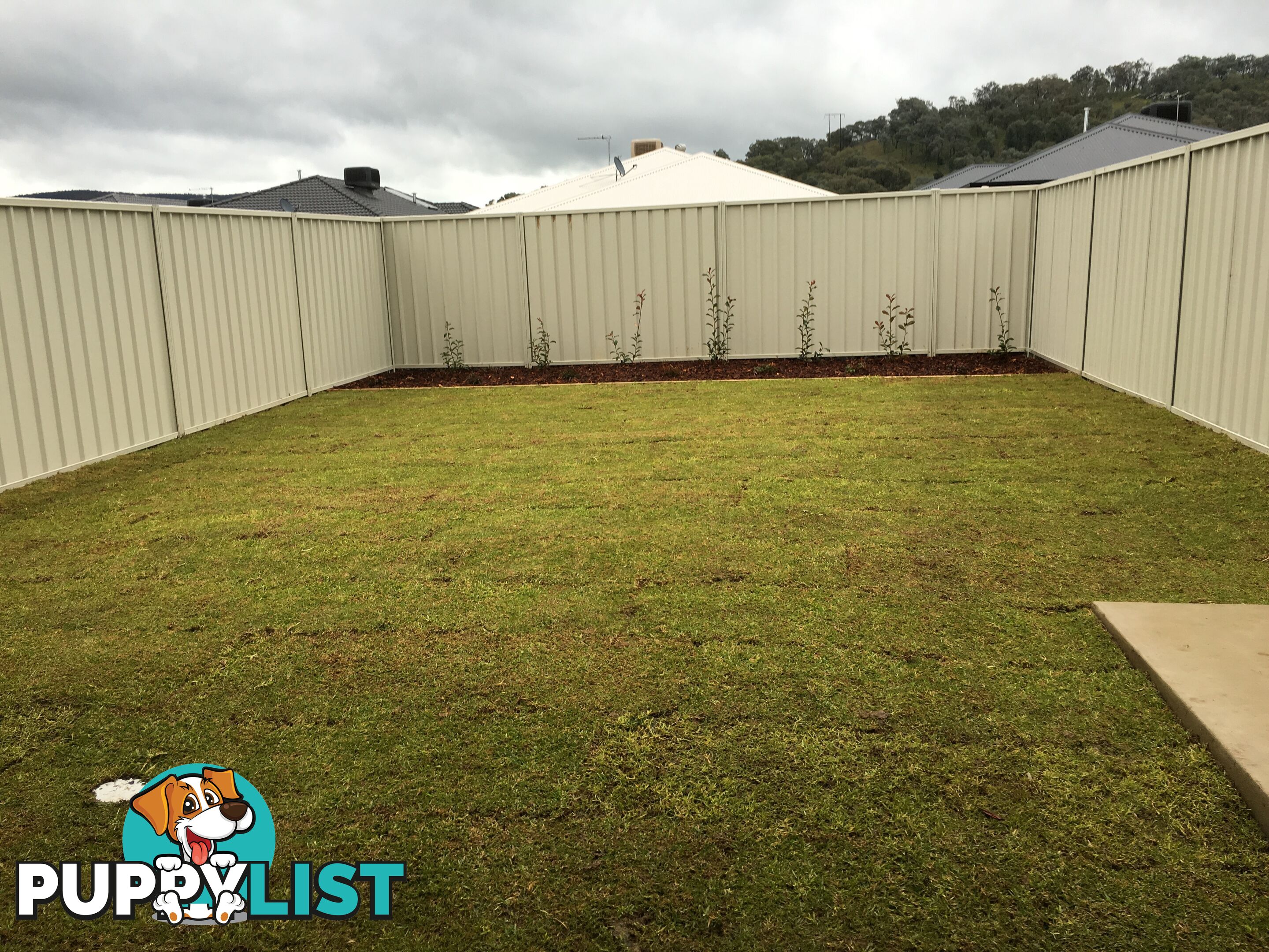 25 Hanrahan Street HAMILTON VALLEY NSW 2641