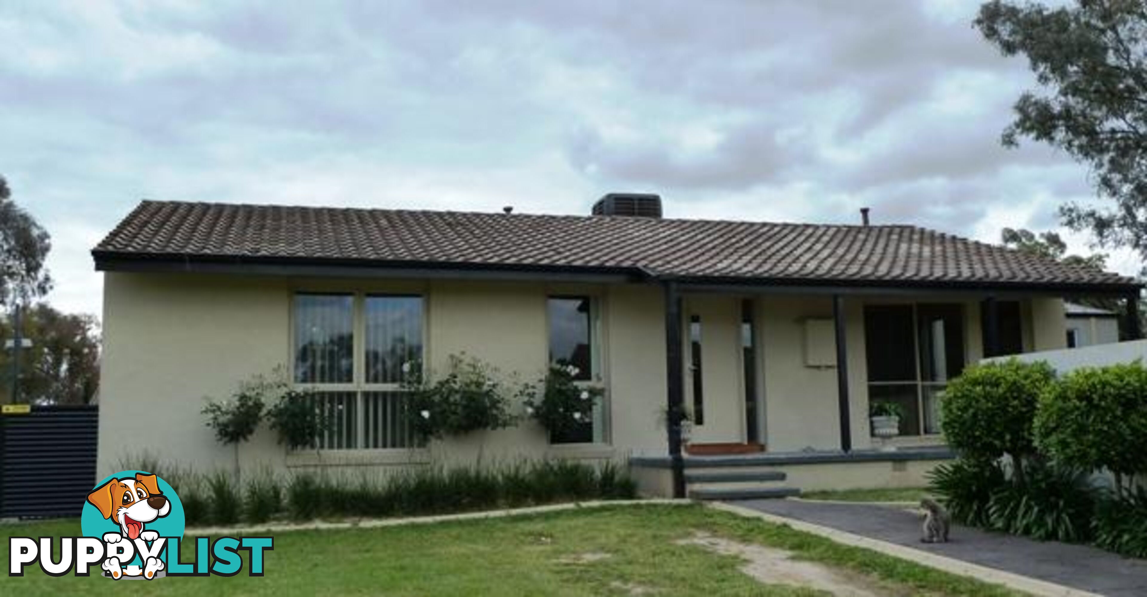 8 Arunta Place SPRINGDALE HEIGHTS NSW 2641
