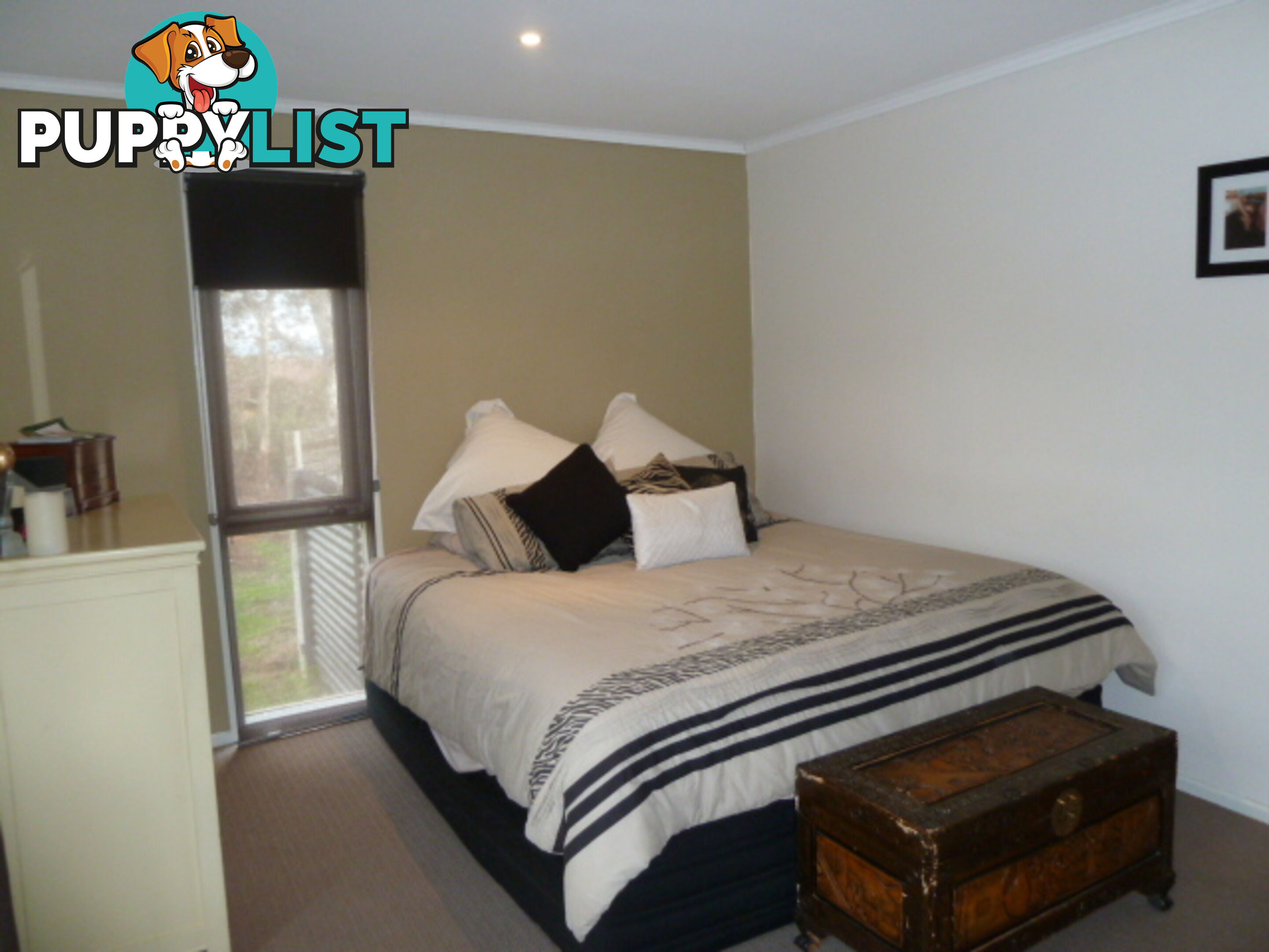 8 Arunta Place SPRINGDALE HEIGHTS NSW 2641