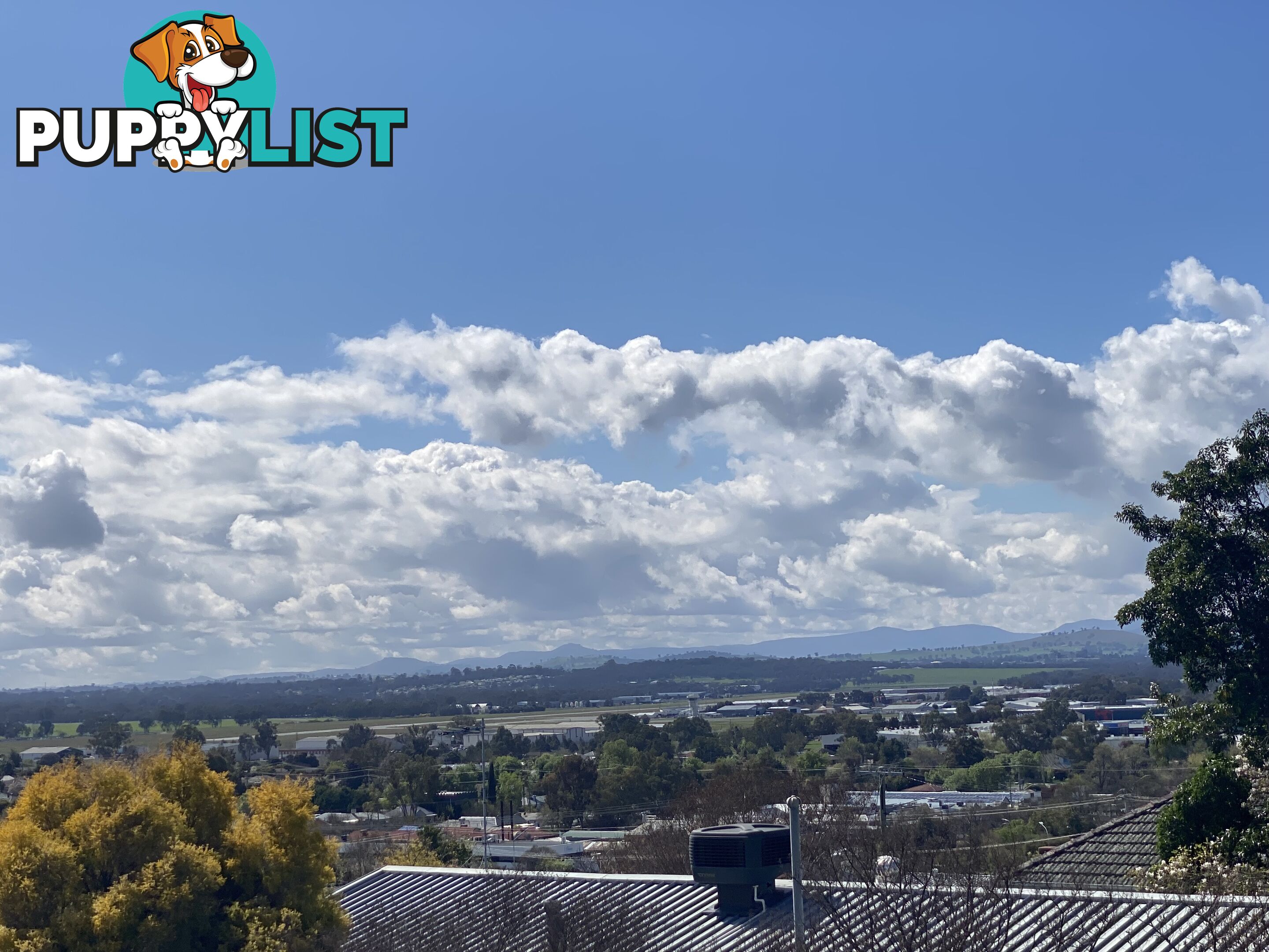 594 Whinray Crescent EAST ALBURY NSW 2640