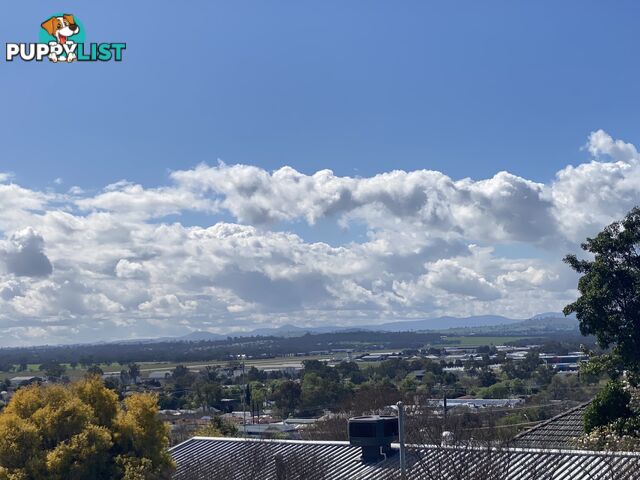 594 Whinray Crescent EAST ALBURY NSW 2640