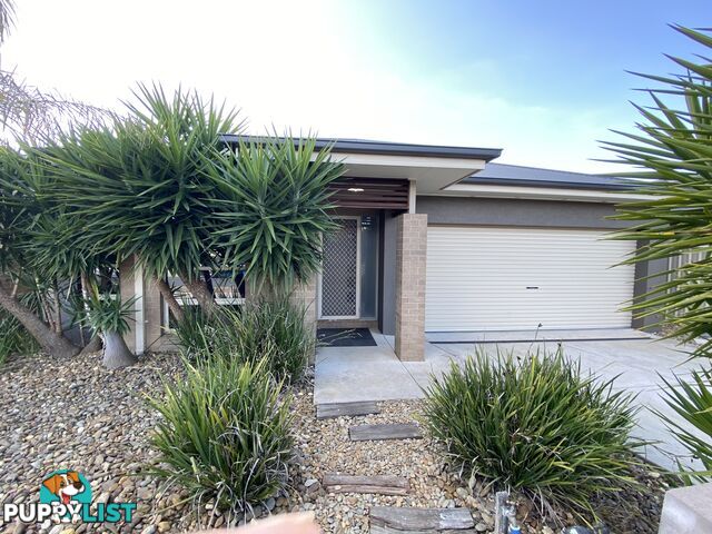 16 Castleton Street WODONGA VIC 3690
