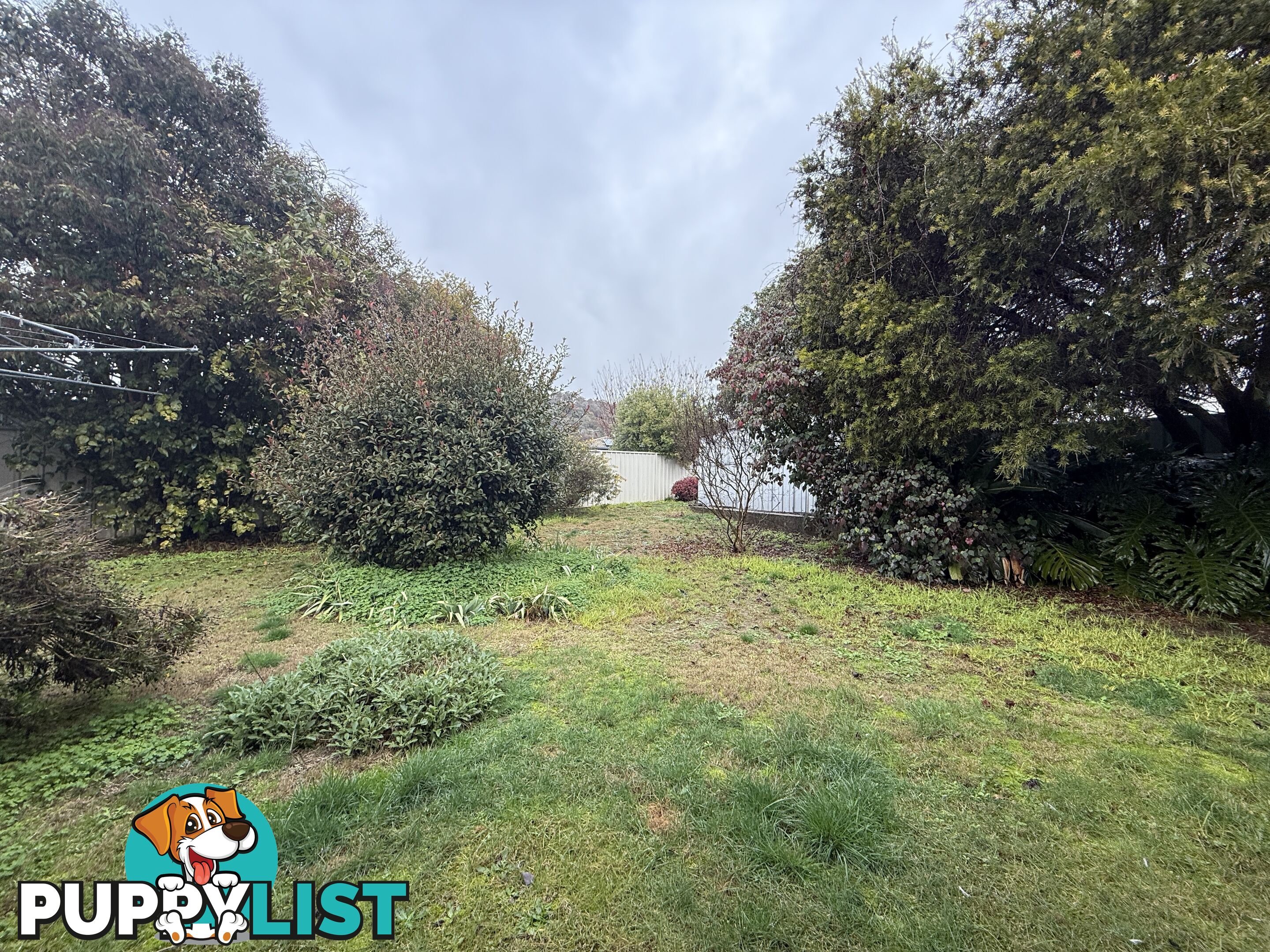 1 Billy Hughes Court WEST WODONGA VIC 3690