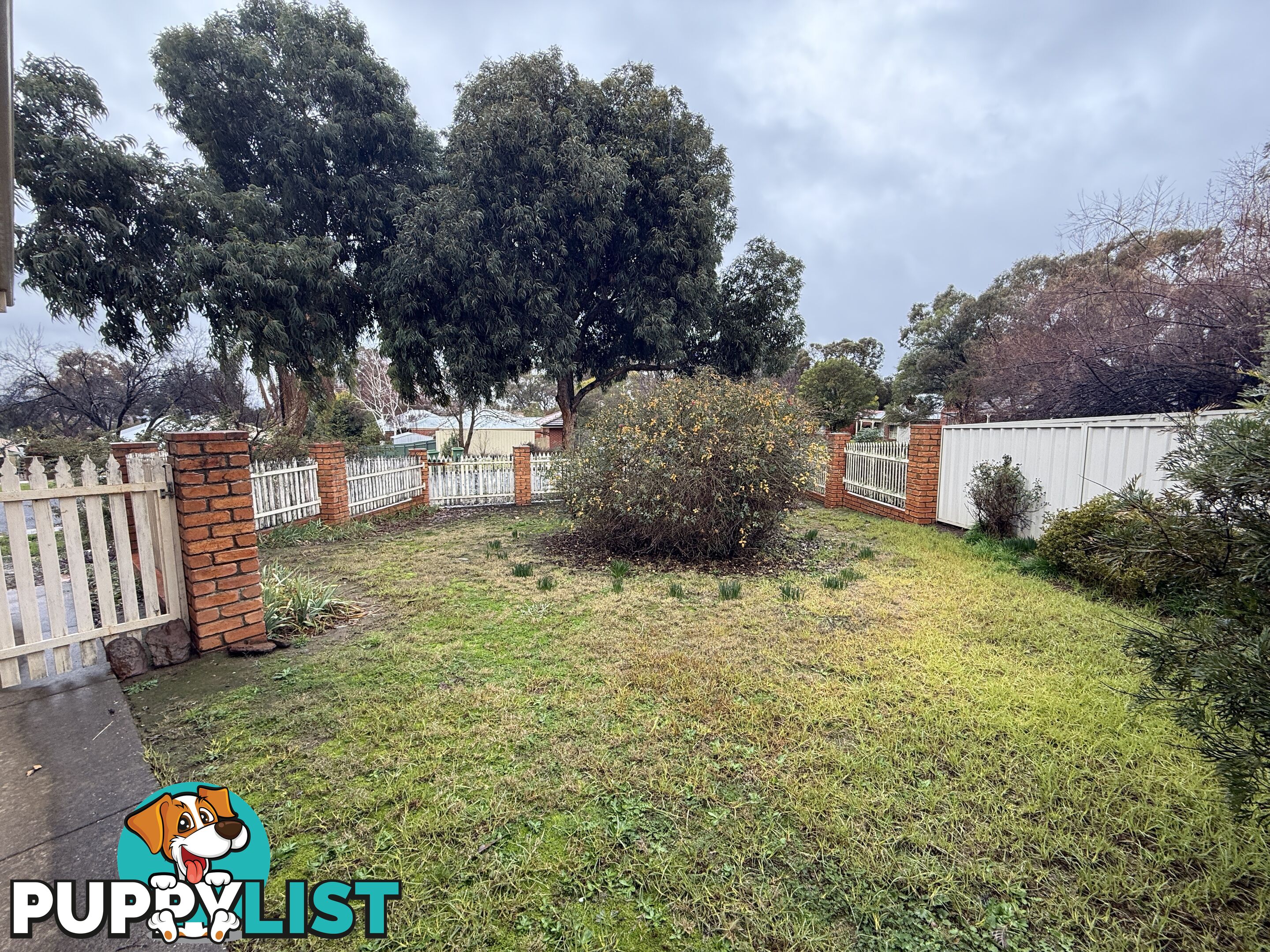 1 Billy Hughes Court WEST WODONGA VIC 3690