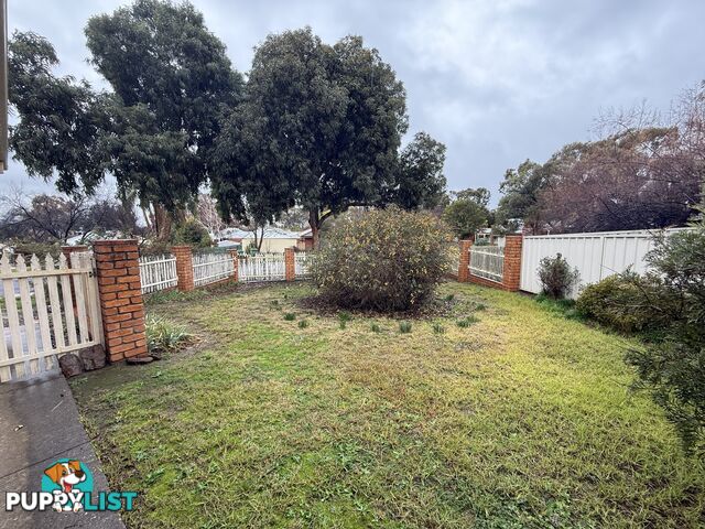 1 Billy Hughes Court WEST WODONGA VIC 3690