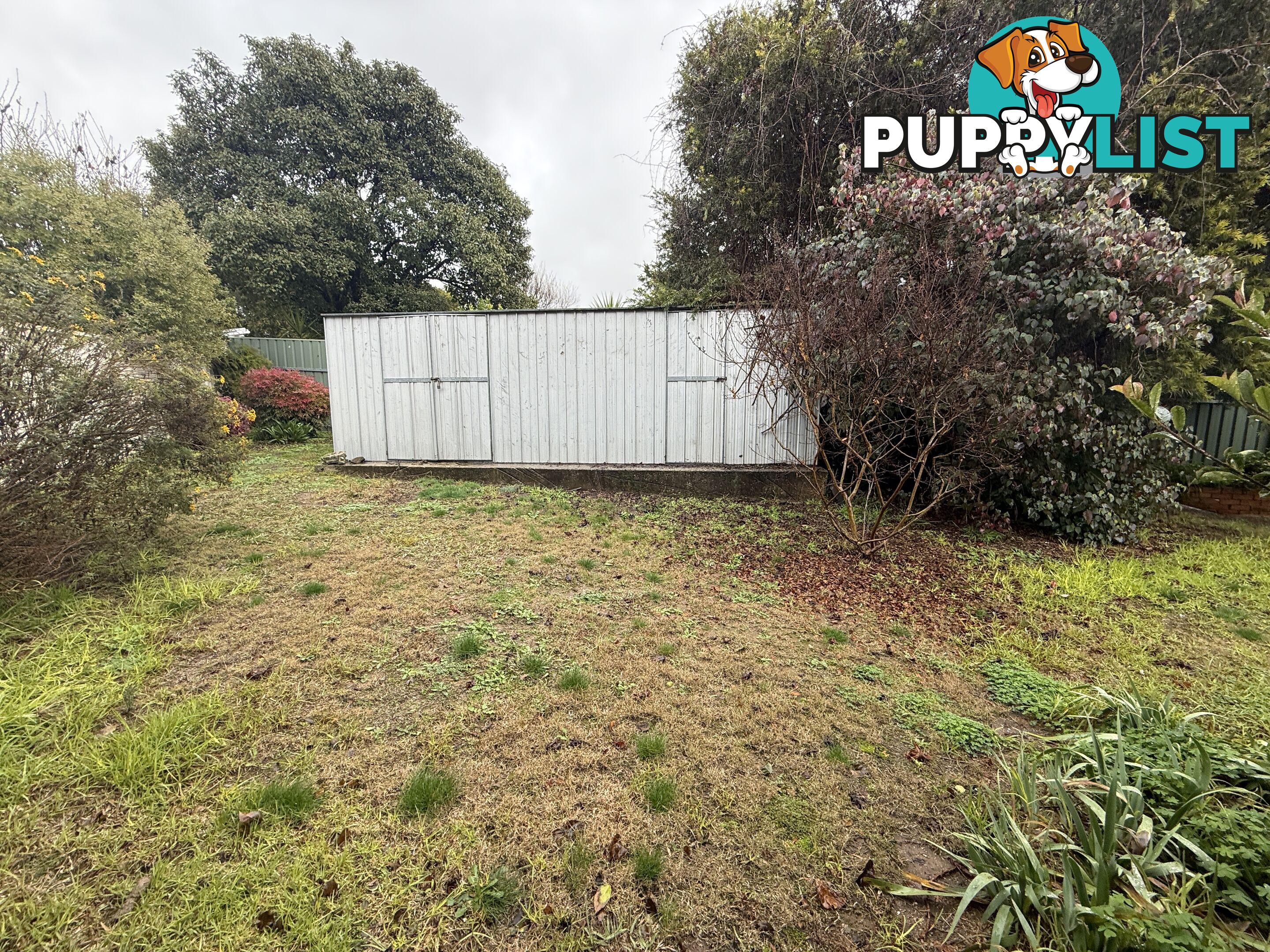 1 Billy Hughes Court WEST WODONGA VIC 3690