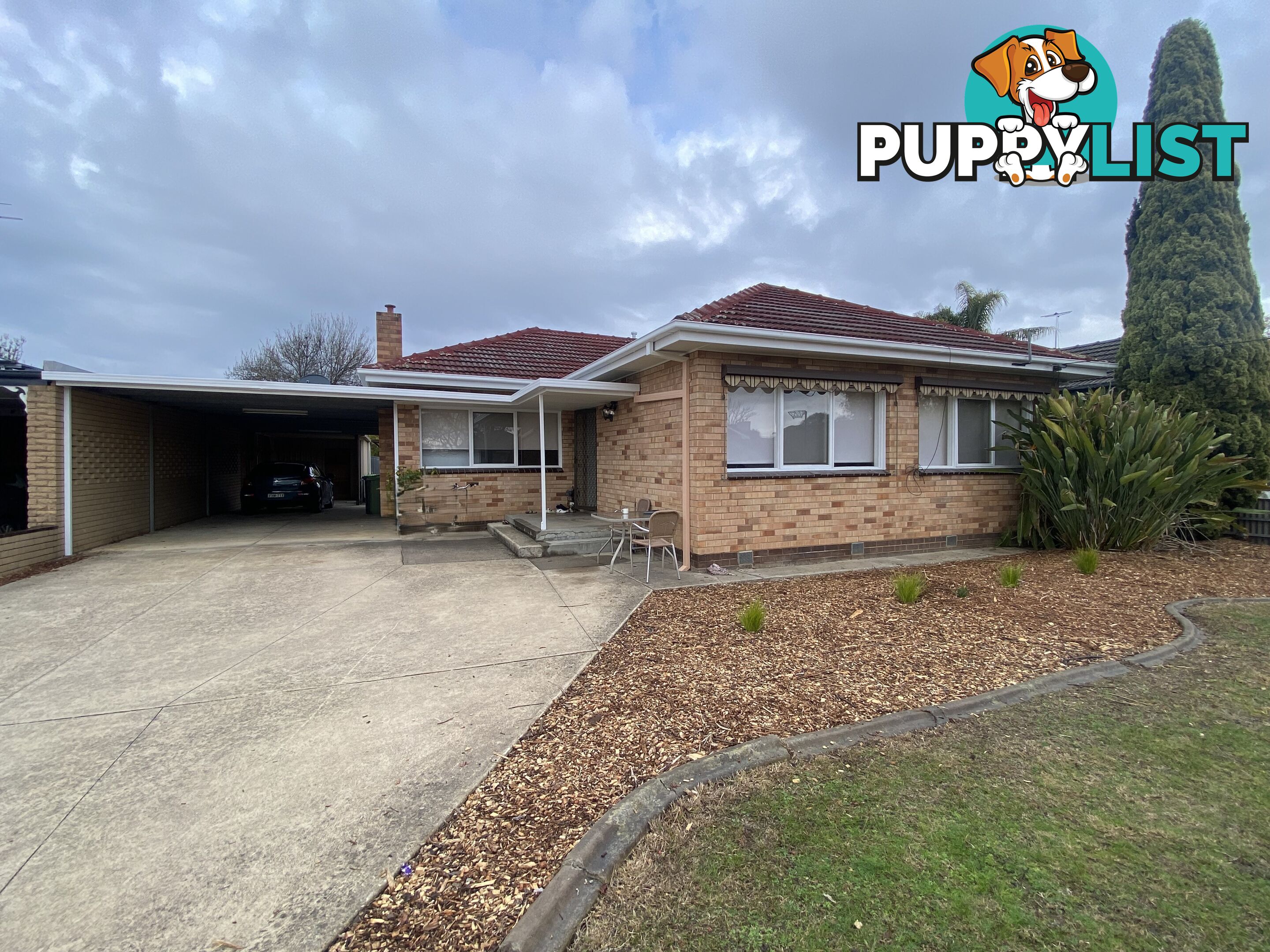 1 137 Plover Street NORTH ALBURY NSW 2640