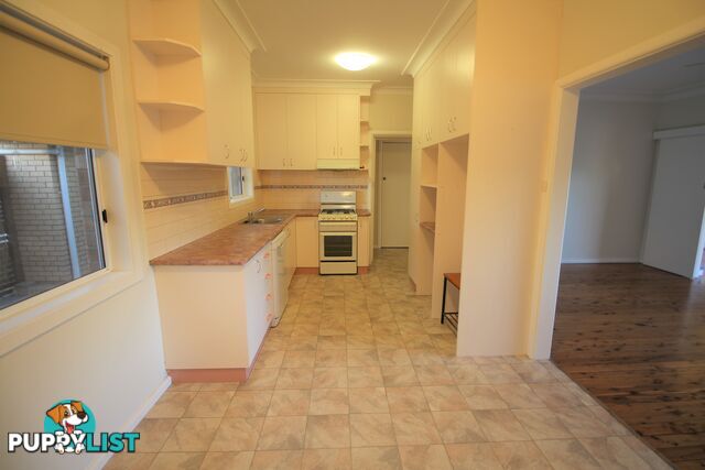 1 137 Plover Street NORTH ALBURY NSW 2640