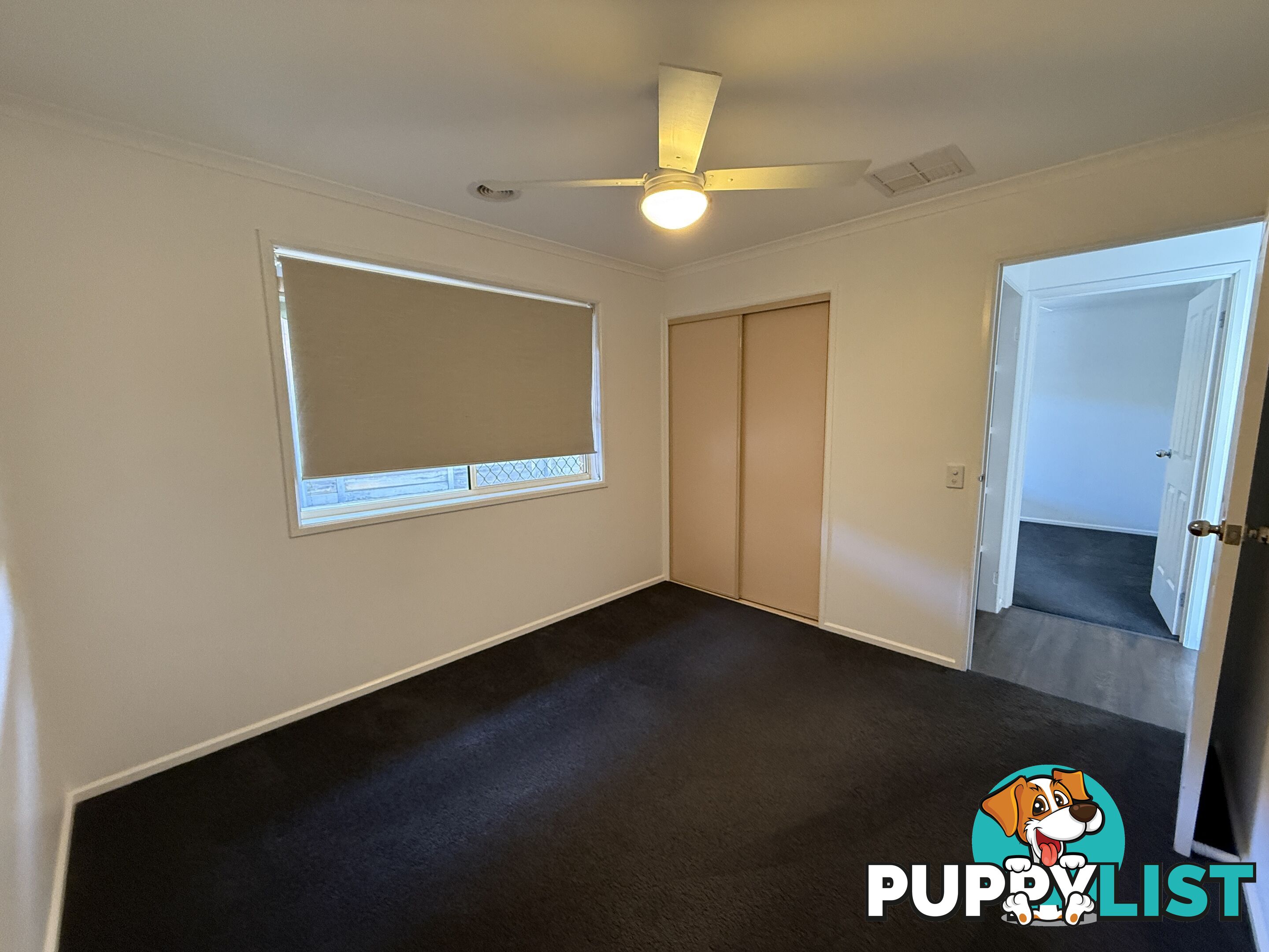 8 Mitta Grove LAVINGTON NSW 2641