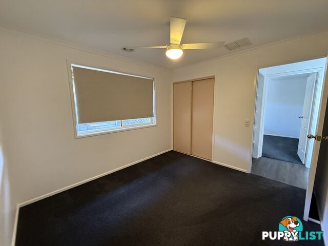 8 Mitta Grove LAVINGTON NSW 2641