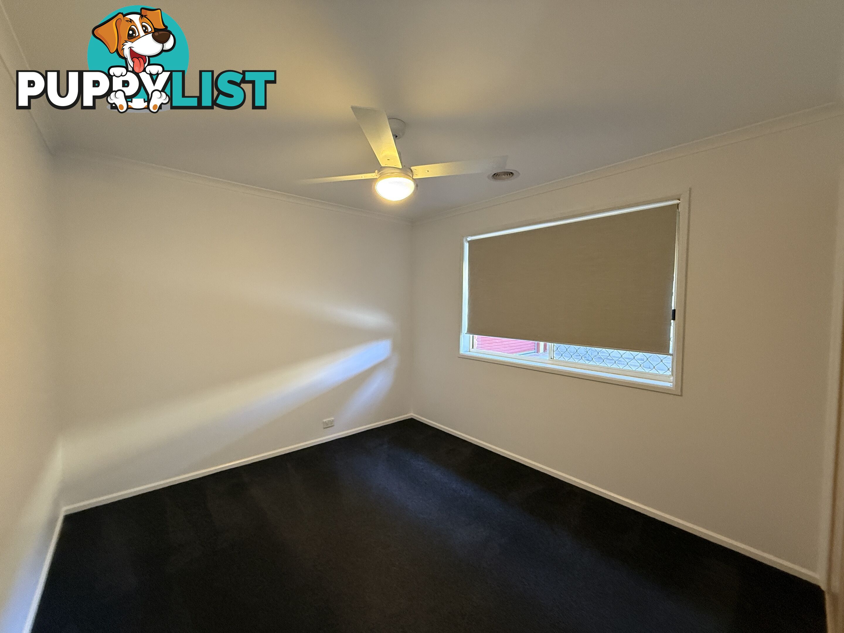 8 Mitta Grove LAVINGTON NSW 2641