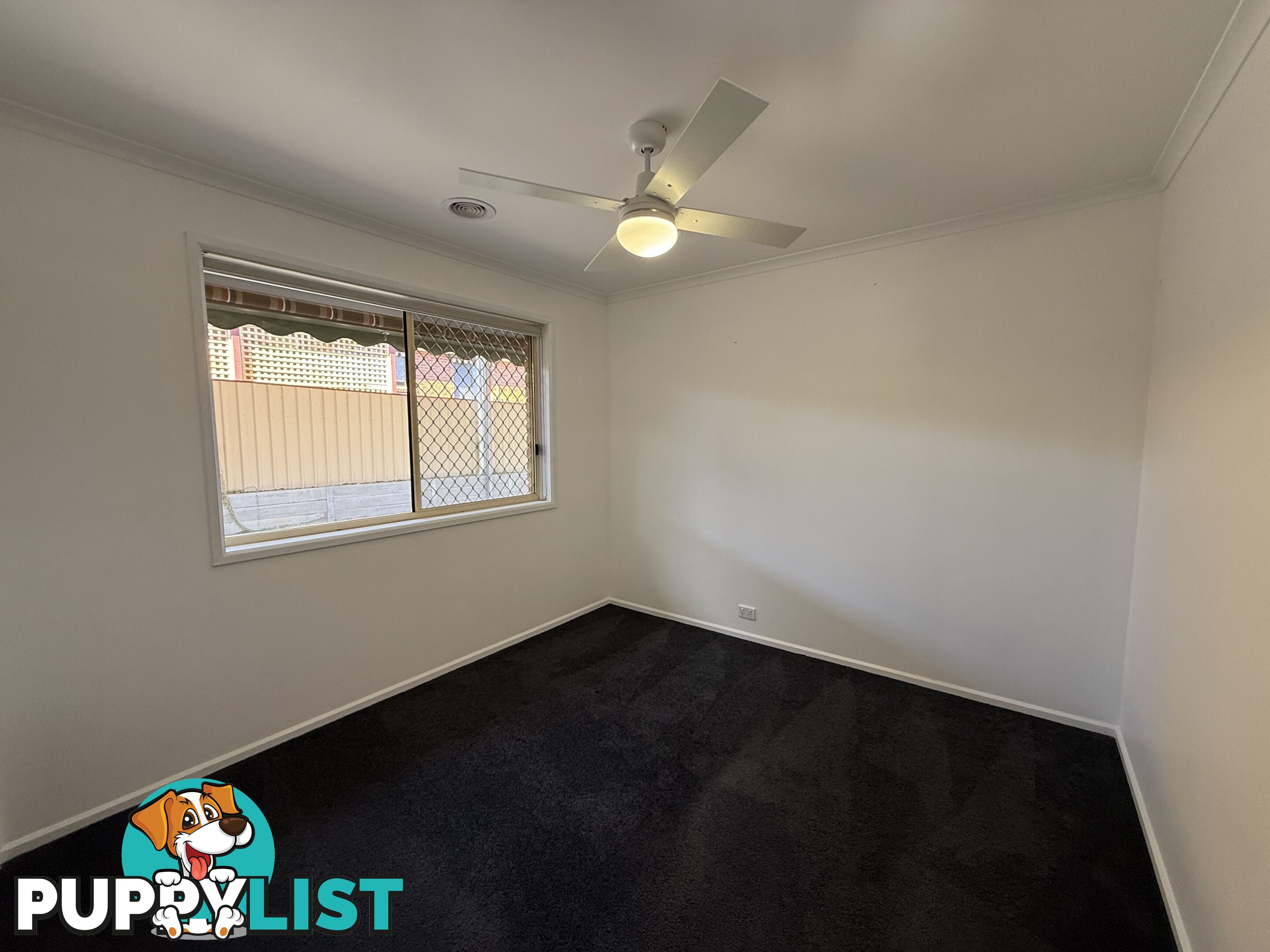 8 Mitta Grove LAVINGTON NSW 2641