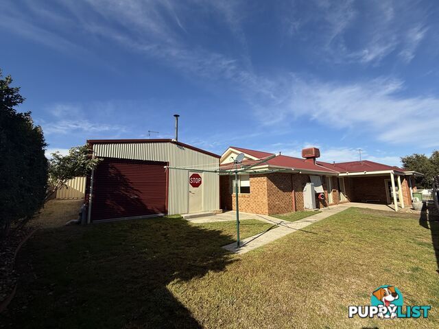 8 Mitta Grove LAVINGTON NSW 2641
