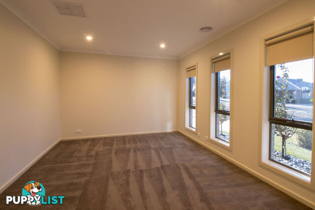 7 Gillman Terrace WODONGA VIC 3690