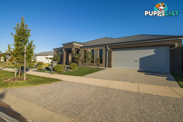 7 Gillman Terrace WODONGA VIC 3690