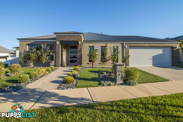 7 Gillman Terrace WODONGA VIC 3690