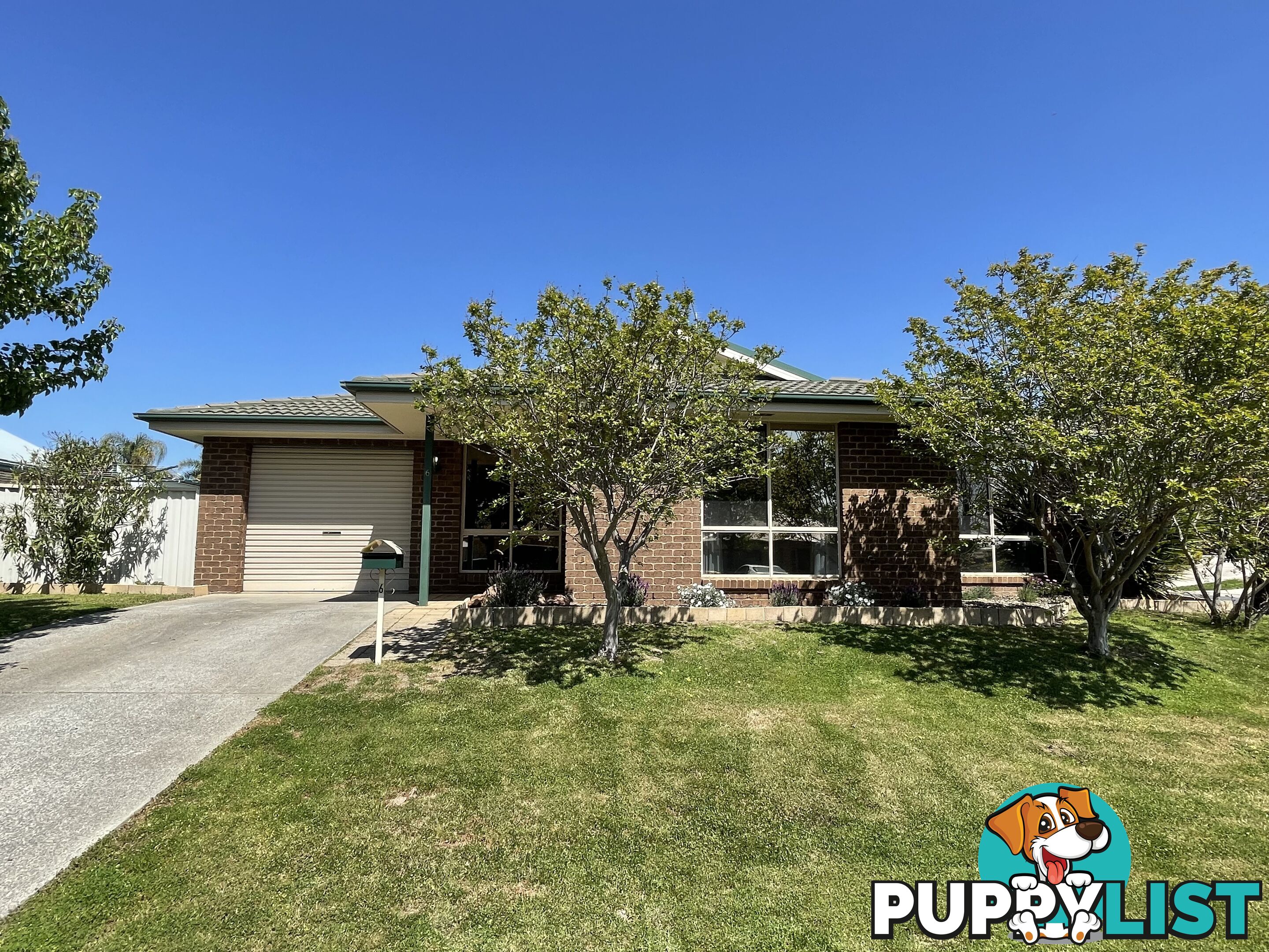 6 Pickering Place WODONGA VIC 3690
