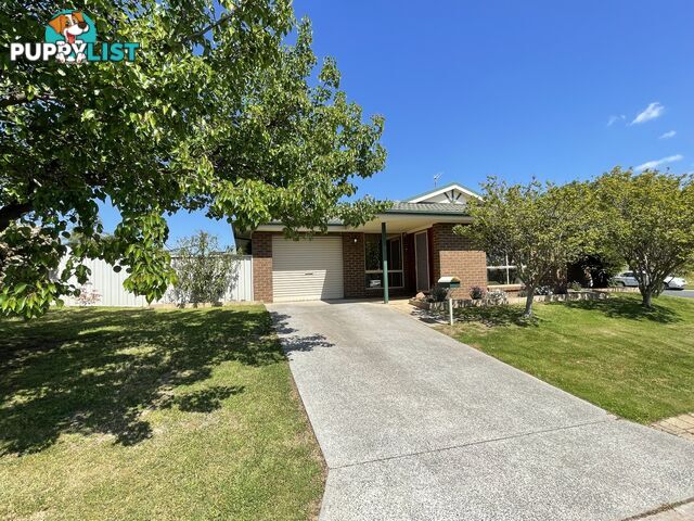 6 Pickering Place WODONGA VIC 3690