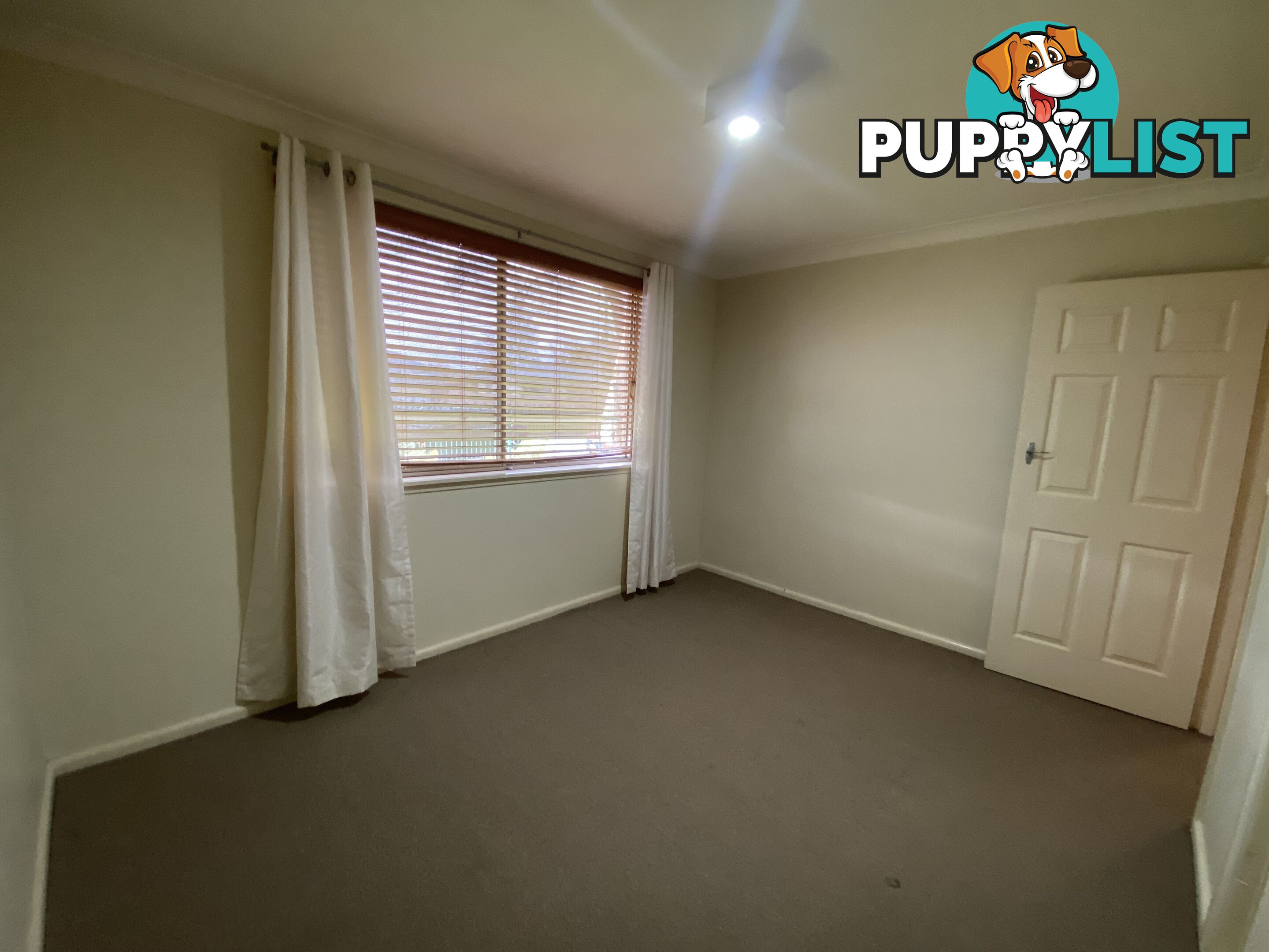 1 237 Gulpha Street NORTH ALBURY NSW 2640