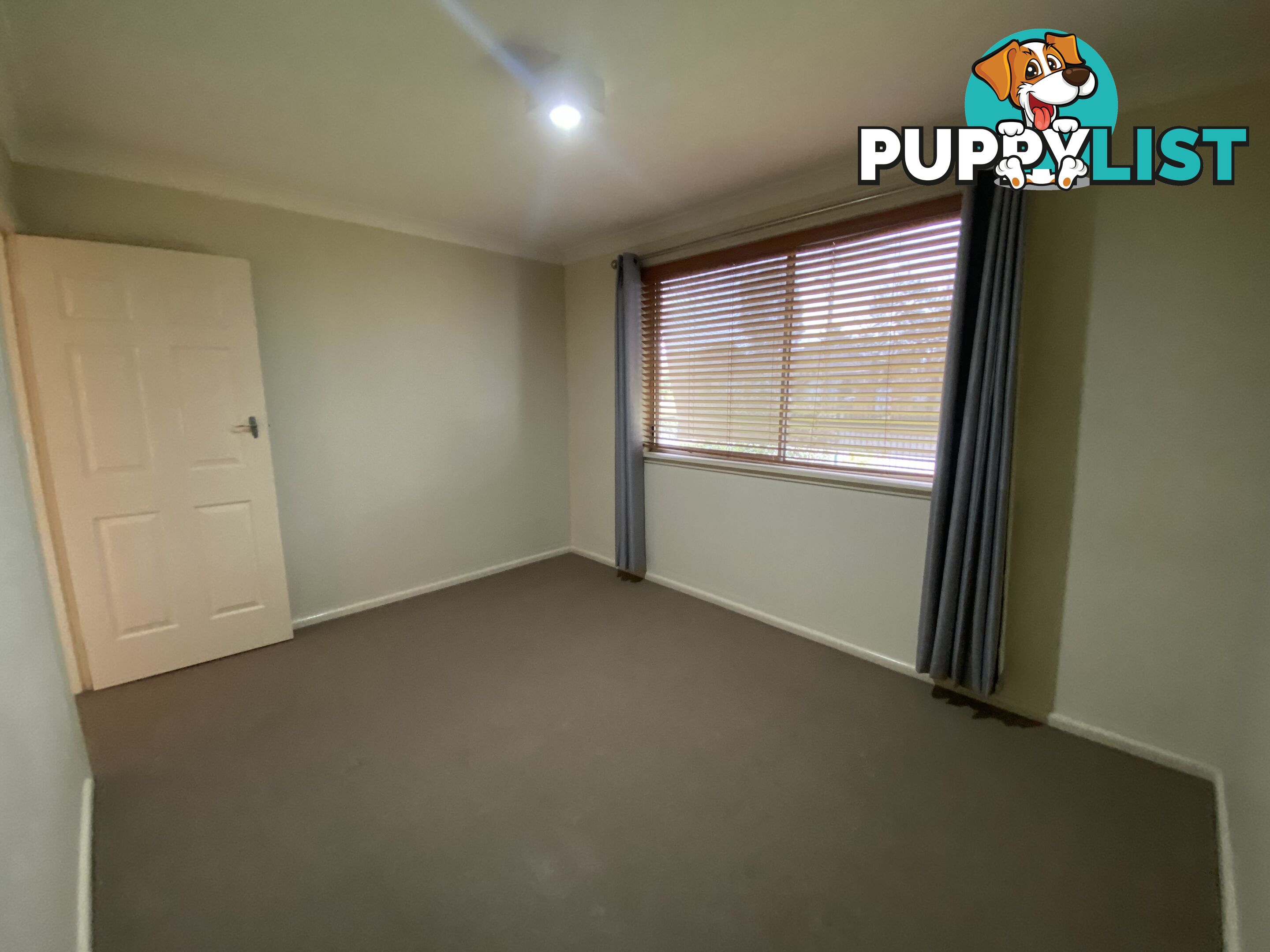 1 237 Gulpha Street NORTH ALBURY NSW 2640