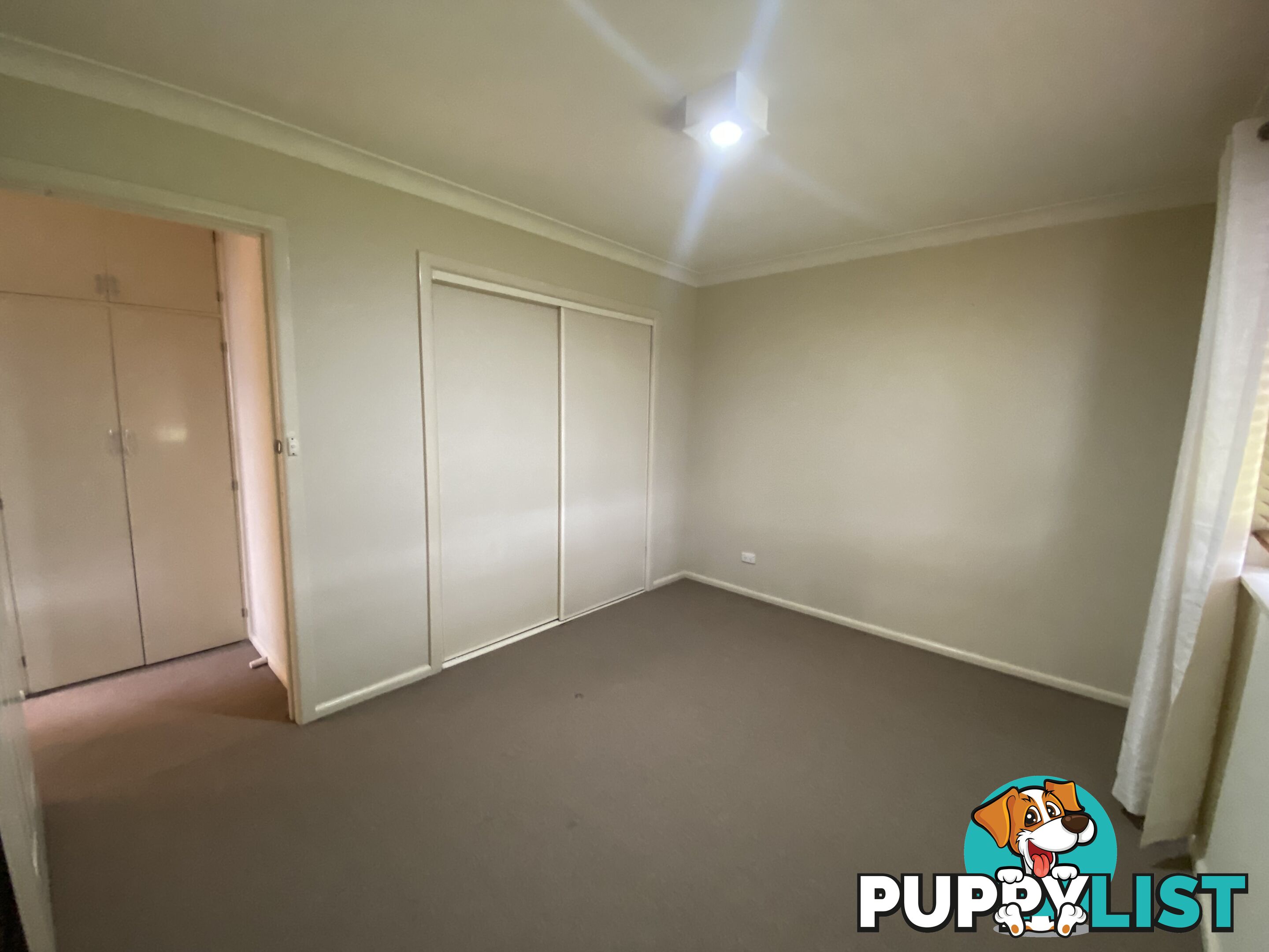 1 237 Gulpha Street NORTH ALBURY NSW 2640