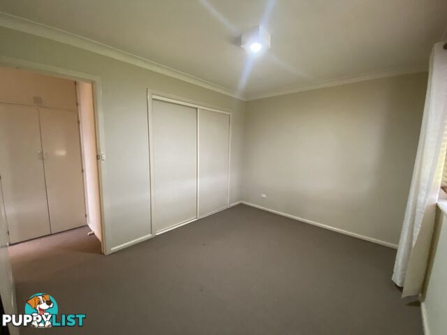 1 237 Gulpha Street NORTH ALBURY NSW 2640