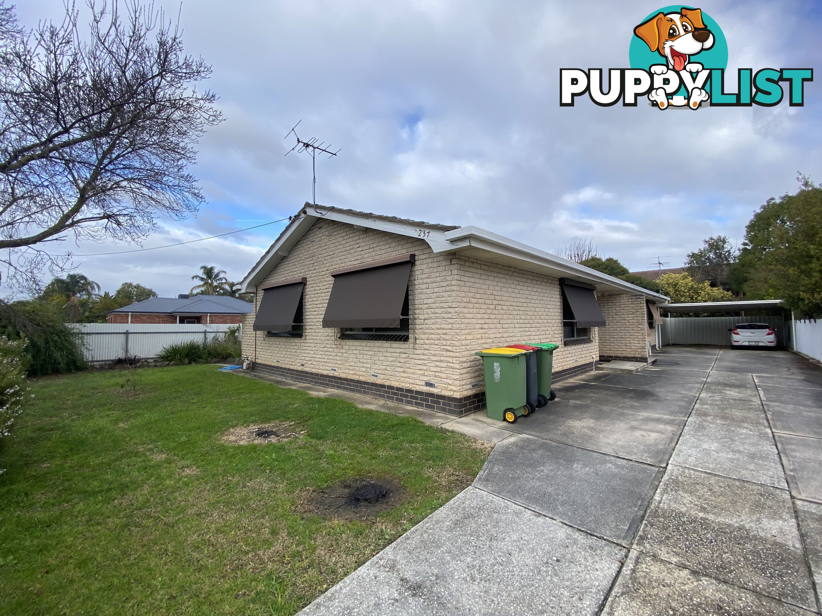 1 237 Gulpha Street NORTH ALBURY NSW 2640