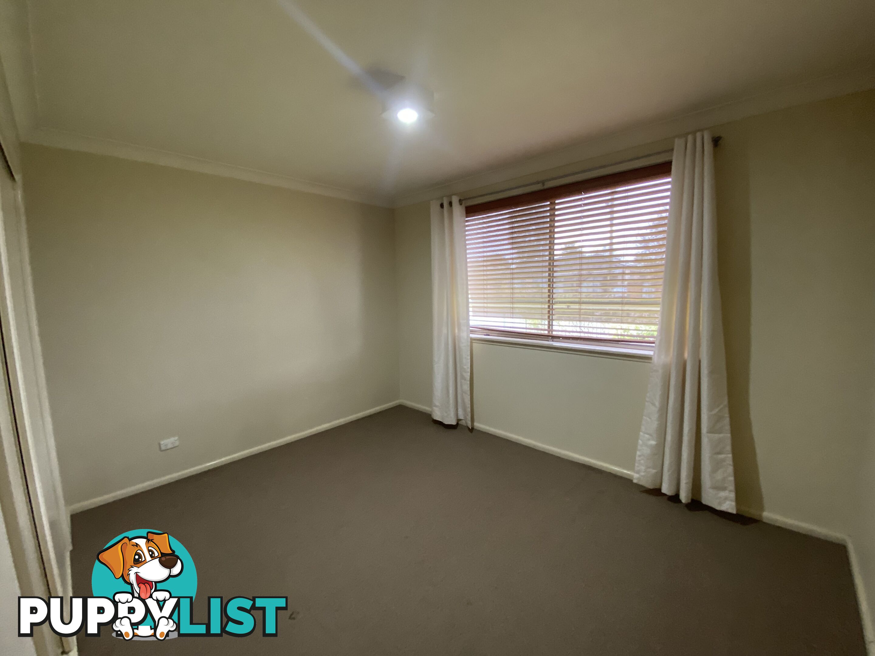 1 237 Gulpha Street NORTH ALBURY NSW 2640
