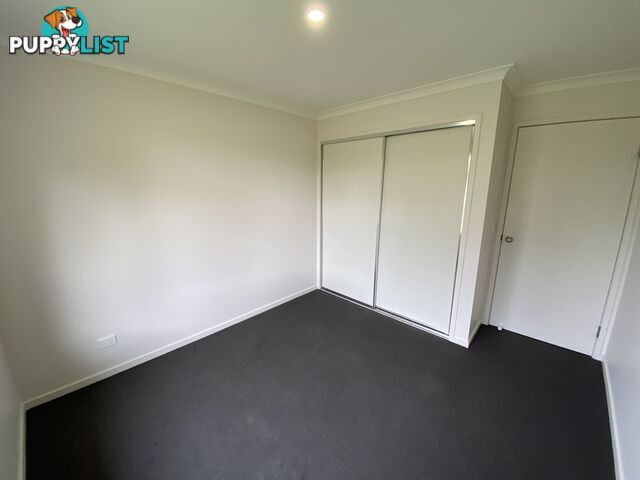 891 Howe Place NORTH ALBURY NSW 2640