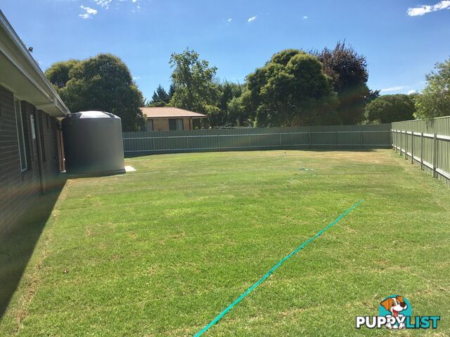 891 Howe Place NORTH ALBURY NSW 2640