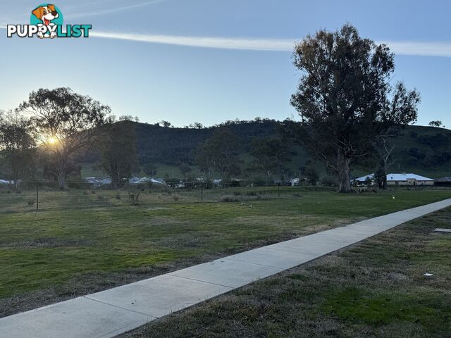 54 Cuthbert Street KILLARA VIC 3312