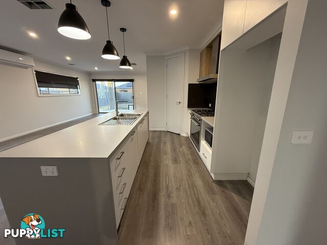 54 Cuthbert Street KILLARA VIC 3312