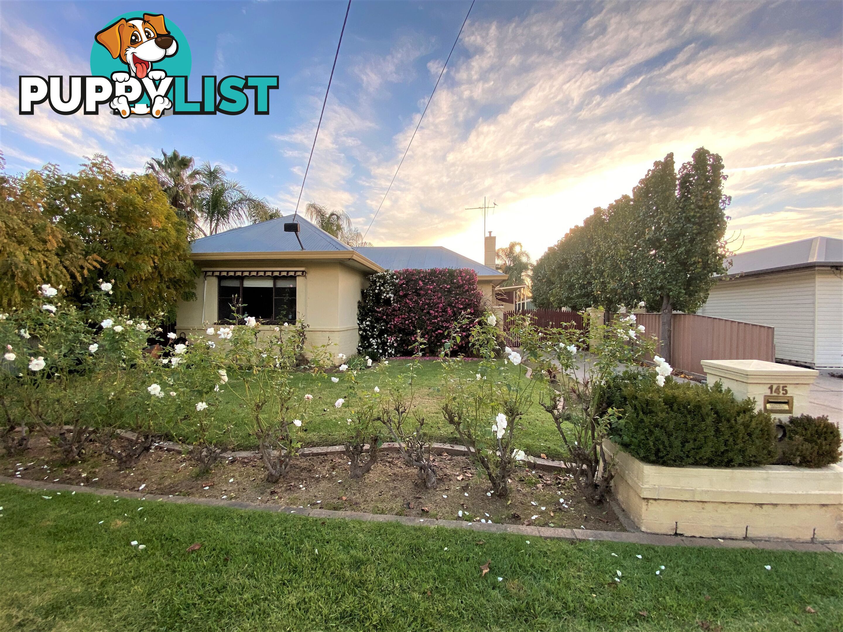 145 Hume Street WODONGA VIC 3690