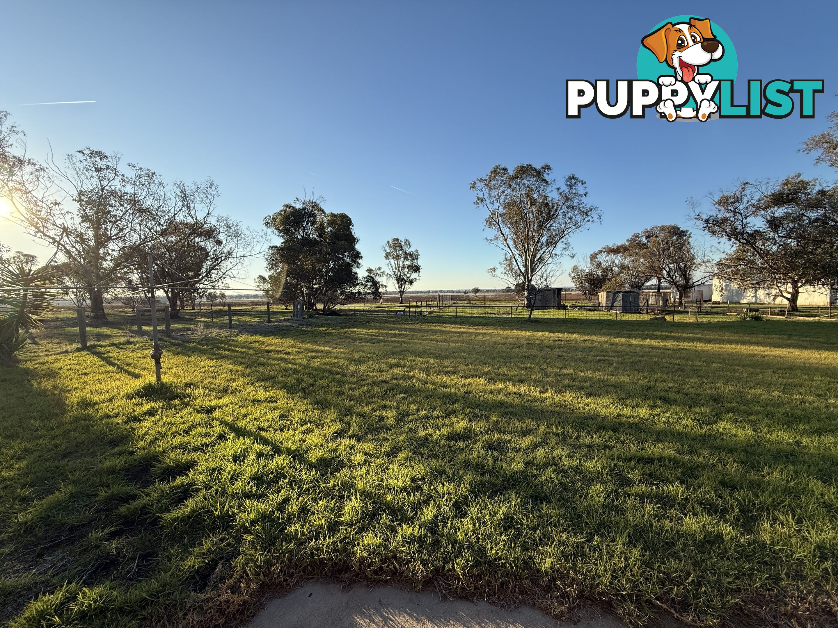 205 Galore Park Road GALORE NSW 2650