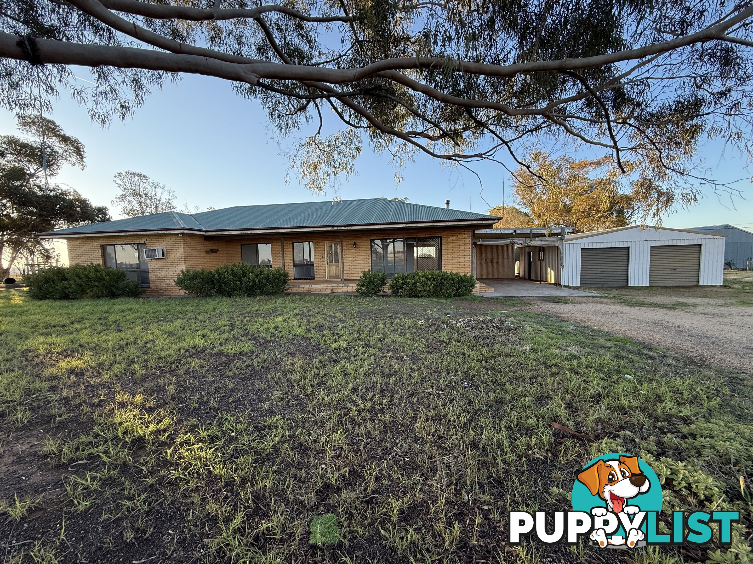 205 Galore Park Road GALORE NSW 2650