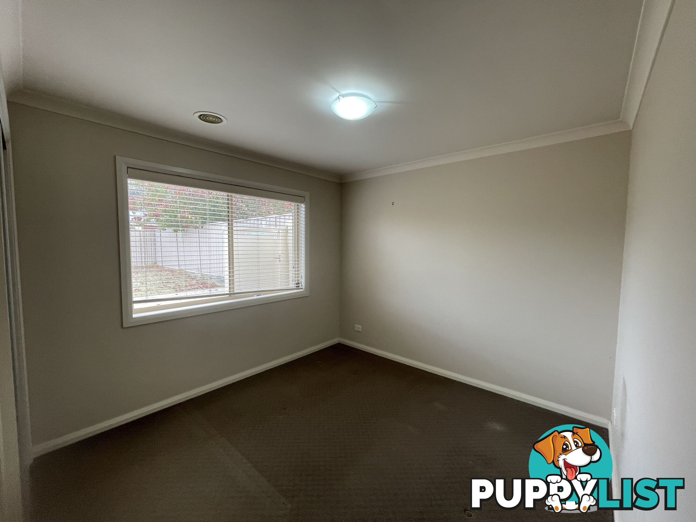 11 Lawson Circuit LAVINGTON NSW 2641