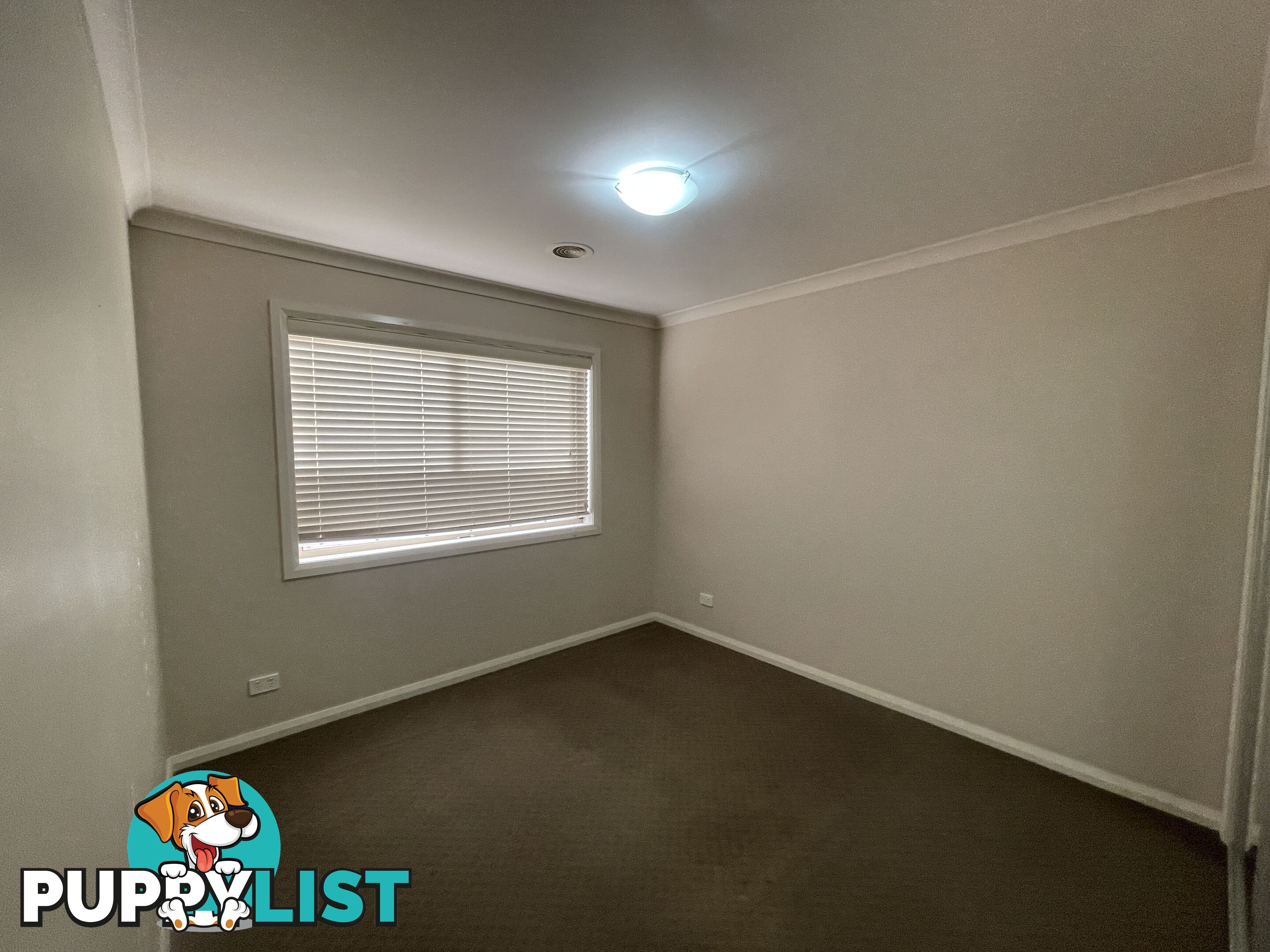 11 Lawson Circuit LAVINGTON NSW 2641